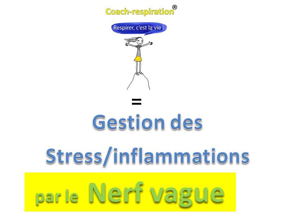 formation stage coach-respiration nerf vague